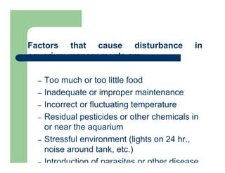 Factors that cause disturbance in
aquarium managements are:
– Too much or too little food
– Inadequate or improper maintenance
– Incorrect or fluctuating temperature
– Residual pesticides or other chemicals in
or near the aquarium
– Stressful environment (lights on 24 hr.,
noise around tank, etc.)
– Introduction of parasites or other disease
 