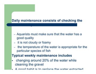Daily maintenance consists of checking the
fish for signs of stress and disease
– Aquarists must make sure that the water has a
good quality
– it is not cloudy or foamy
– the temperature of the water is appropriate for the
particular species of fish
Typical weekly maintenance includes
 changing around 20% of the water while
cleaning the gravel
 A good habit is to replace the water extracted
 