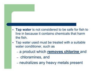  Tap water is not considered to be safe for fish to
live in because it contains chemicals that harm
the fish.
 Tap water used must be treated with a suitable
water conditioner, such as
– a product which removes chlorine and
– chloramines, and
– neutralizes any heavy metals present
 