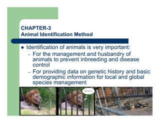 CHAPTER-3
Animal Identification Method
 Identification of animals is very important:
– For the management and husbandry of
animals to prevent inbreeding and disease
control
– For providing data on genetic history and basic
demographic information for local and global
species management
 Various I.D methods
 Restraint; physical, chemical and a combination
of both
 