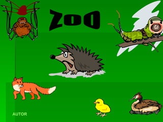 ZOO AUTOR 