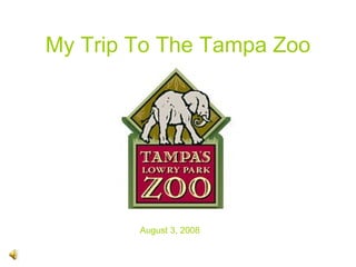 My Trip To The Tampa Zoo August 3, 2008 