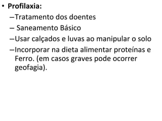Profilaxia: Tratamento dos doentes Saneamento Básico Usar calçados e luvas ao manipular o solo Incorporar na dieta alimentar proteínas e Ferro. (em casos graves pode ocorrer geofagia). 