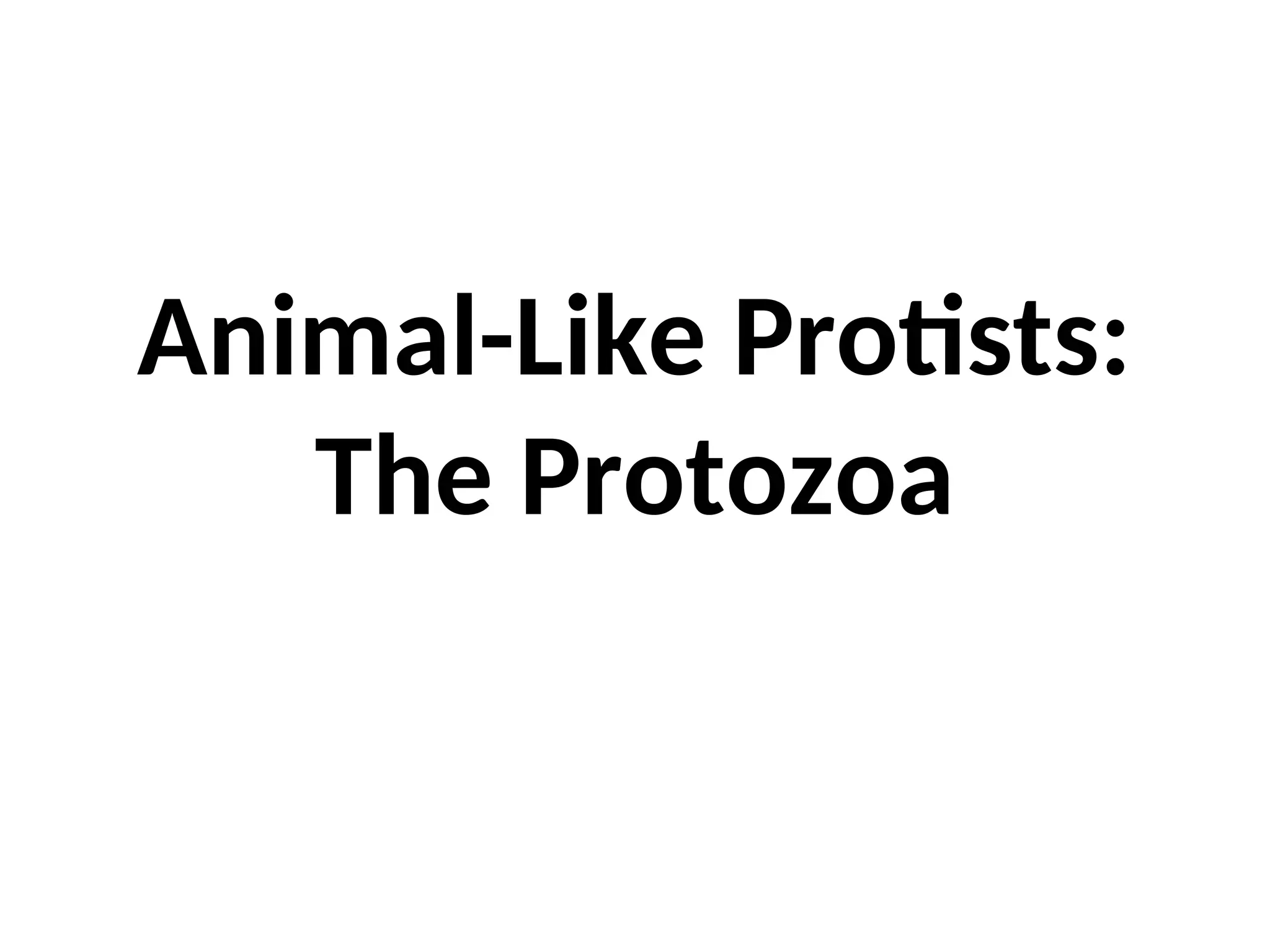 Animal-Like Protists:
The Protozoa
 