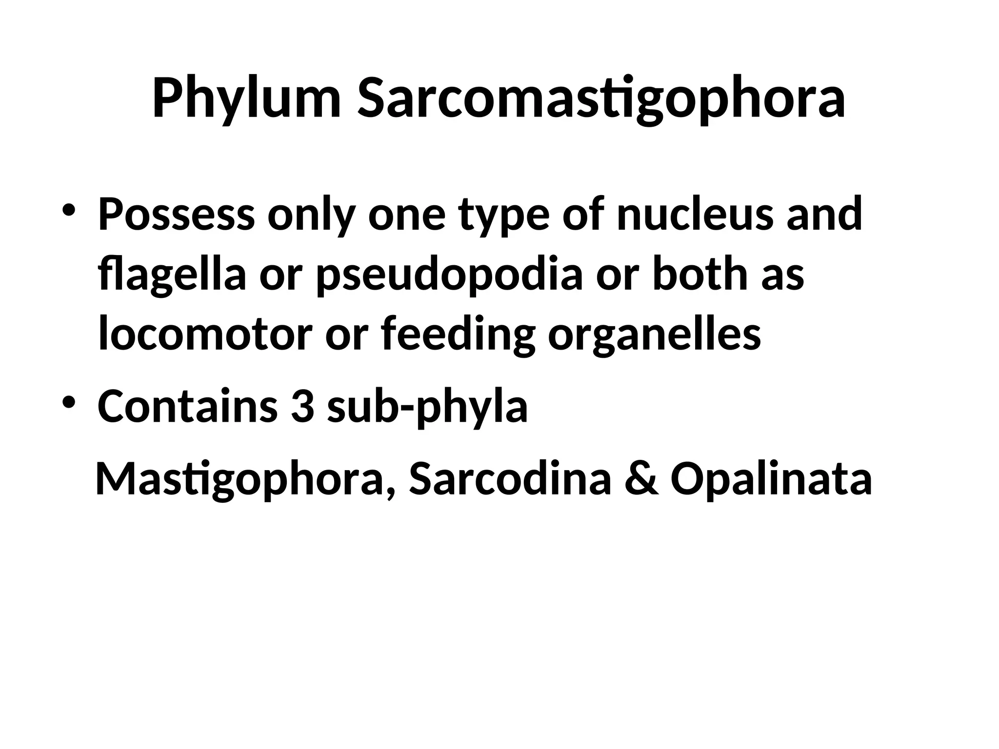 Phylum Sarcomastigophora
• Possess only one type of nucleus and
flagella or pseudopodia or both as
locomotor or feeding organelles
• Contains 3 sub-phyla
Mastigophora, Sarcodina & Opalinata
 