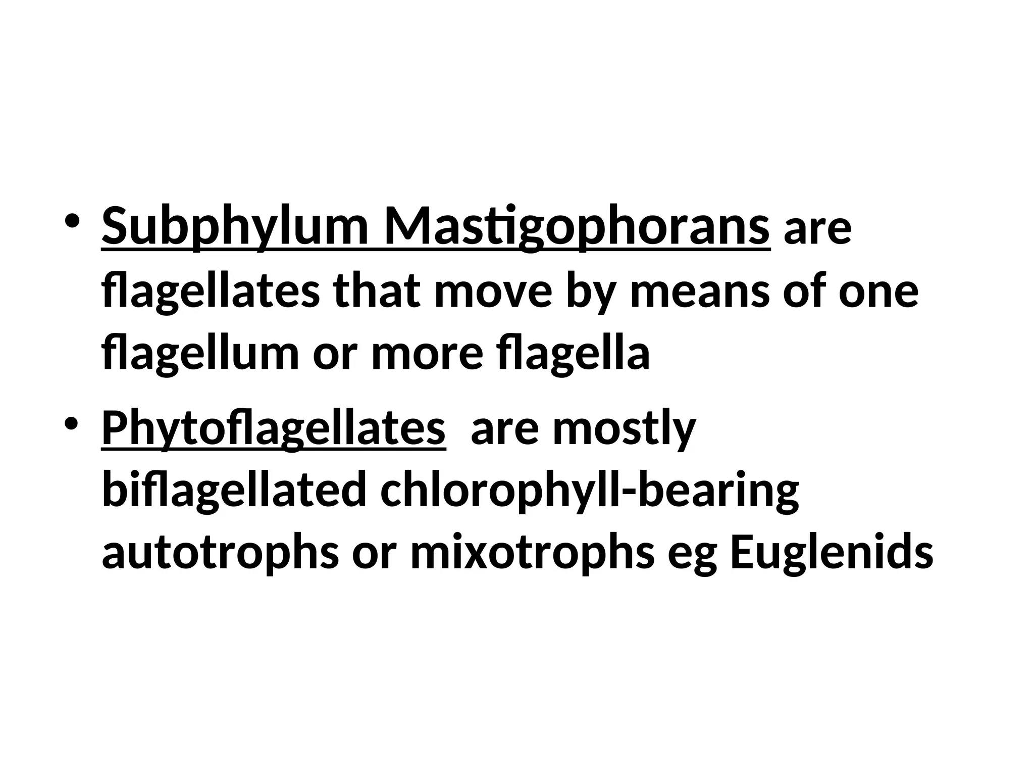 • Subphylum Mastigophorans are
flagellates that move by means of one
flagellum or more flagella
• Phytoflagellates are mostly
biflagellated chlorophyll-bearing
autotrophs or mixotrophs eg Euglenids
 