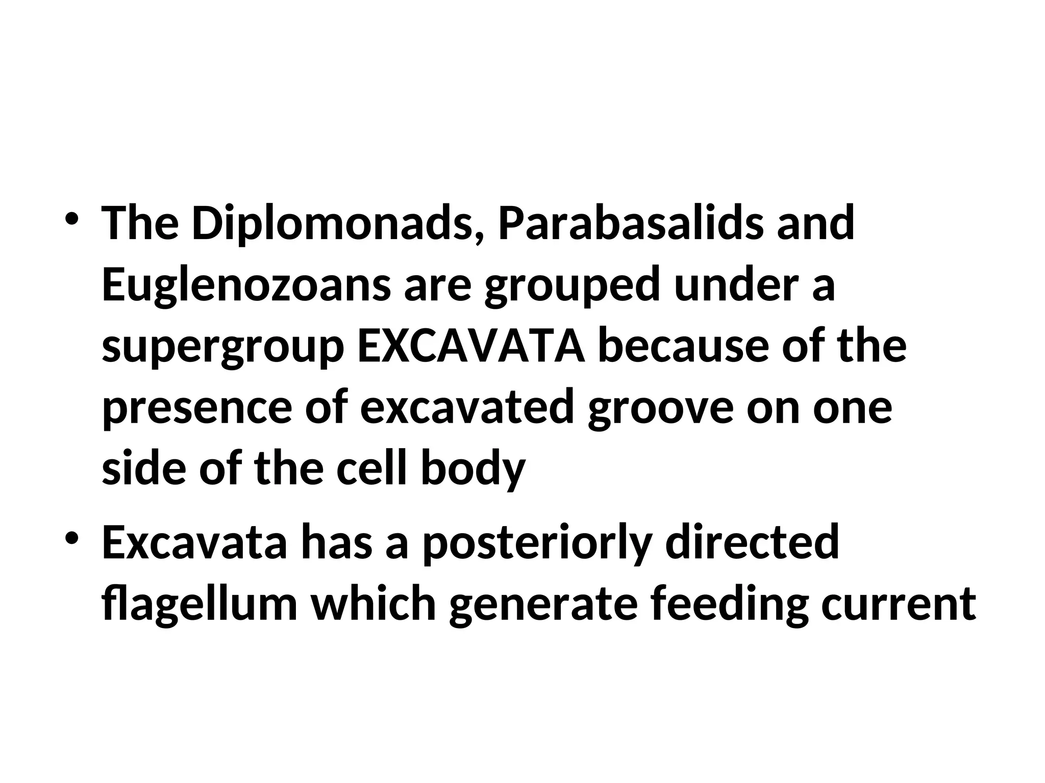 • The Diplomonads, Parabasalids and
Euglenozoans are grouped under a
supergroup EXCAVATA because of the
presence of excavated groove on one
side of the cell body
• Excavata has a posteriorly directed
flagellum which generate feeding current
 