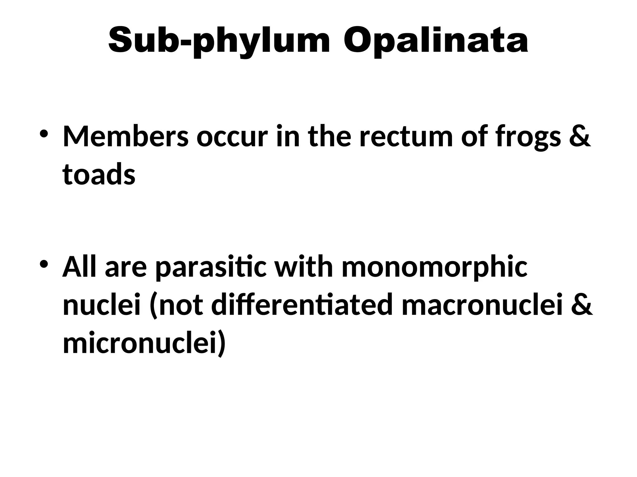 Sub-phylum Opalinata
• Members occur in the rectum of frogs &
toads
• All are parasitic with monomorphic
nuclei (not differentiated macronuclei &
micronuclei)
 