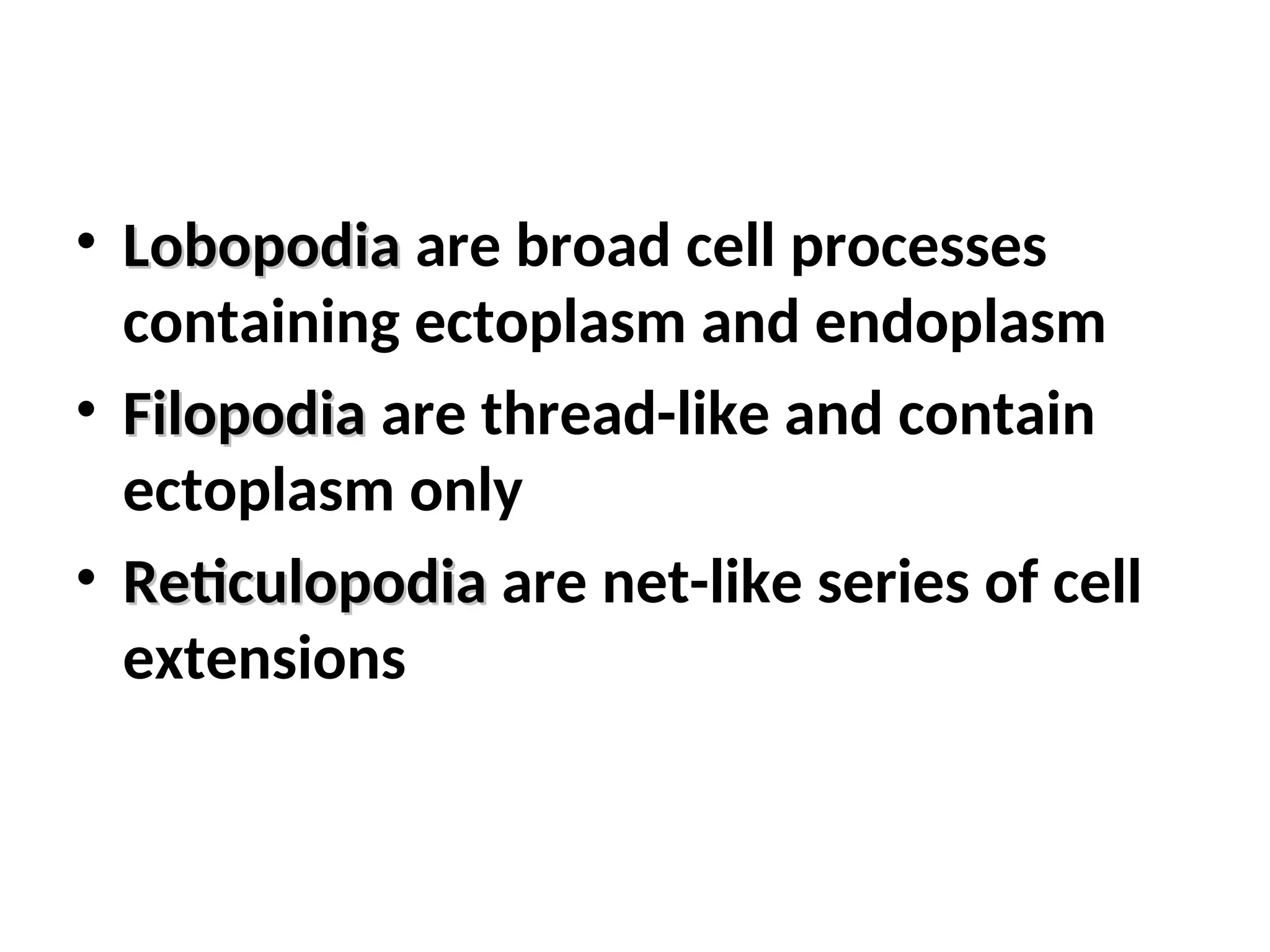 • Lobopodia
Lobopodia are broad cell processes
containing ectoplasm and endoplasm
• Filopodia
Filopodia are thread-like and contain
ectoplasm only
• Reticulopodia
Reticulopodia are net-like series of cell
extensions
 