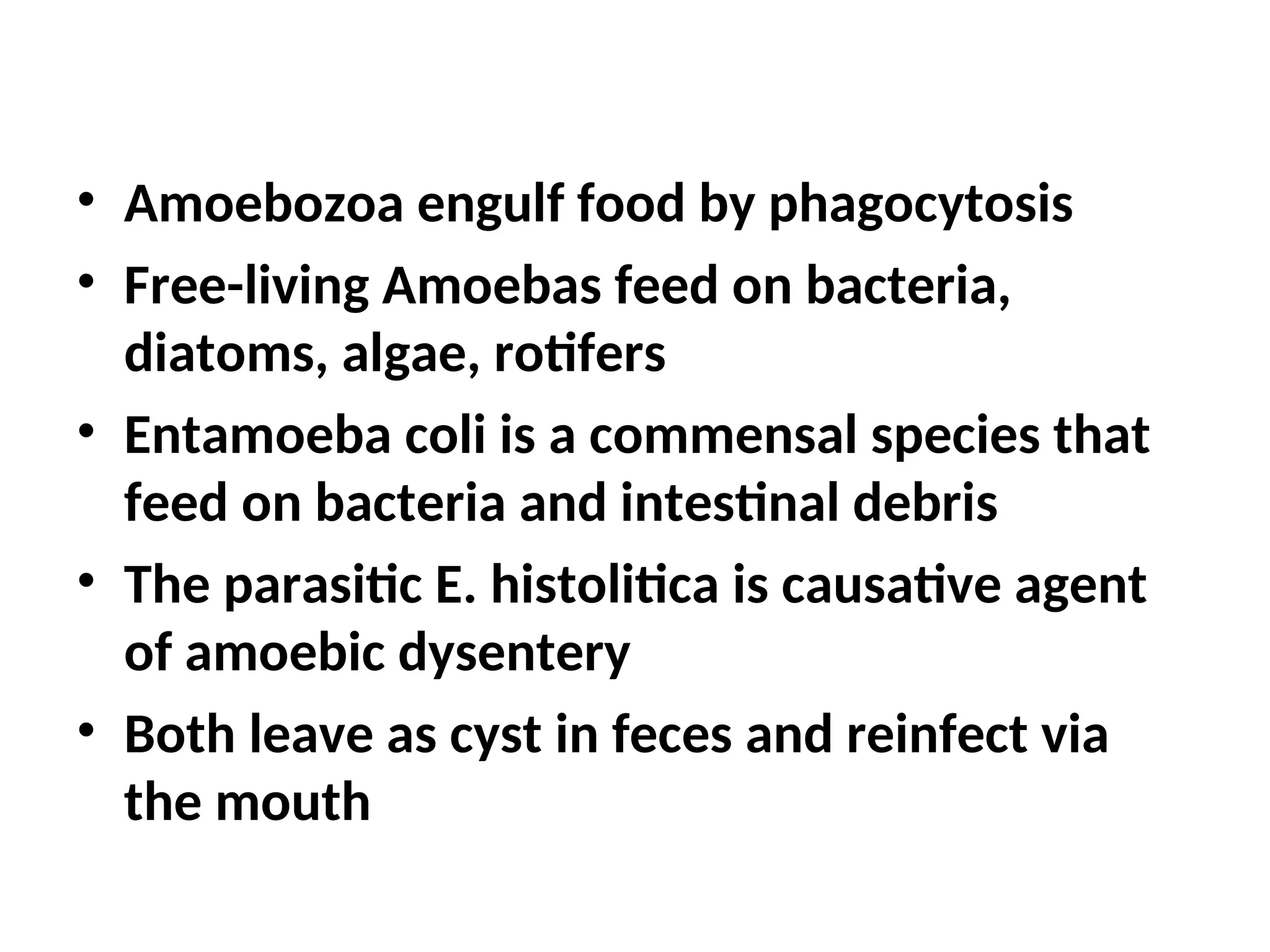 • Amoebozoa engulf food by phagocytosis
• Free-living Amoebas feed on bacteria,
diatoms, algae, rotifers
• Entamoeba coli is a commensal species that
feed on bacteria and intestinal debris
• The parasitic E. histolitica is causative agent
of amoebic dysentery
• Both leave as cyst in feces and reinfect via
the mouth
 