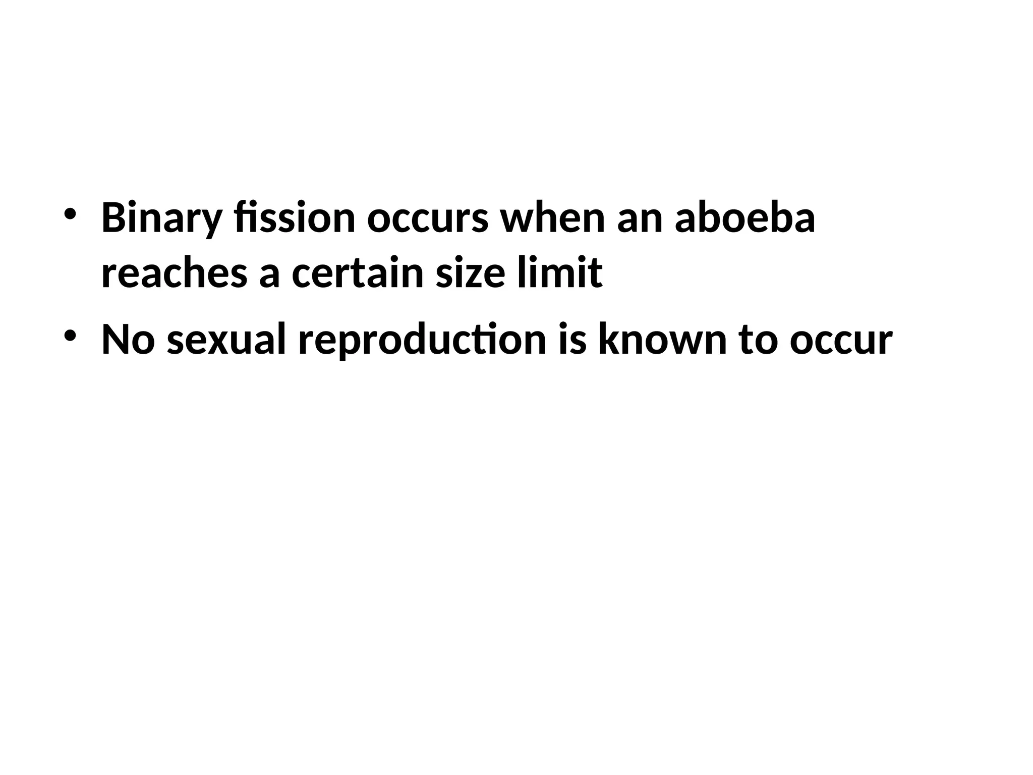 • Binary fission occurs when an aboeba
reaches a certain size limit
• No sexual reproduction is known to occur
 