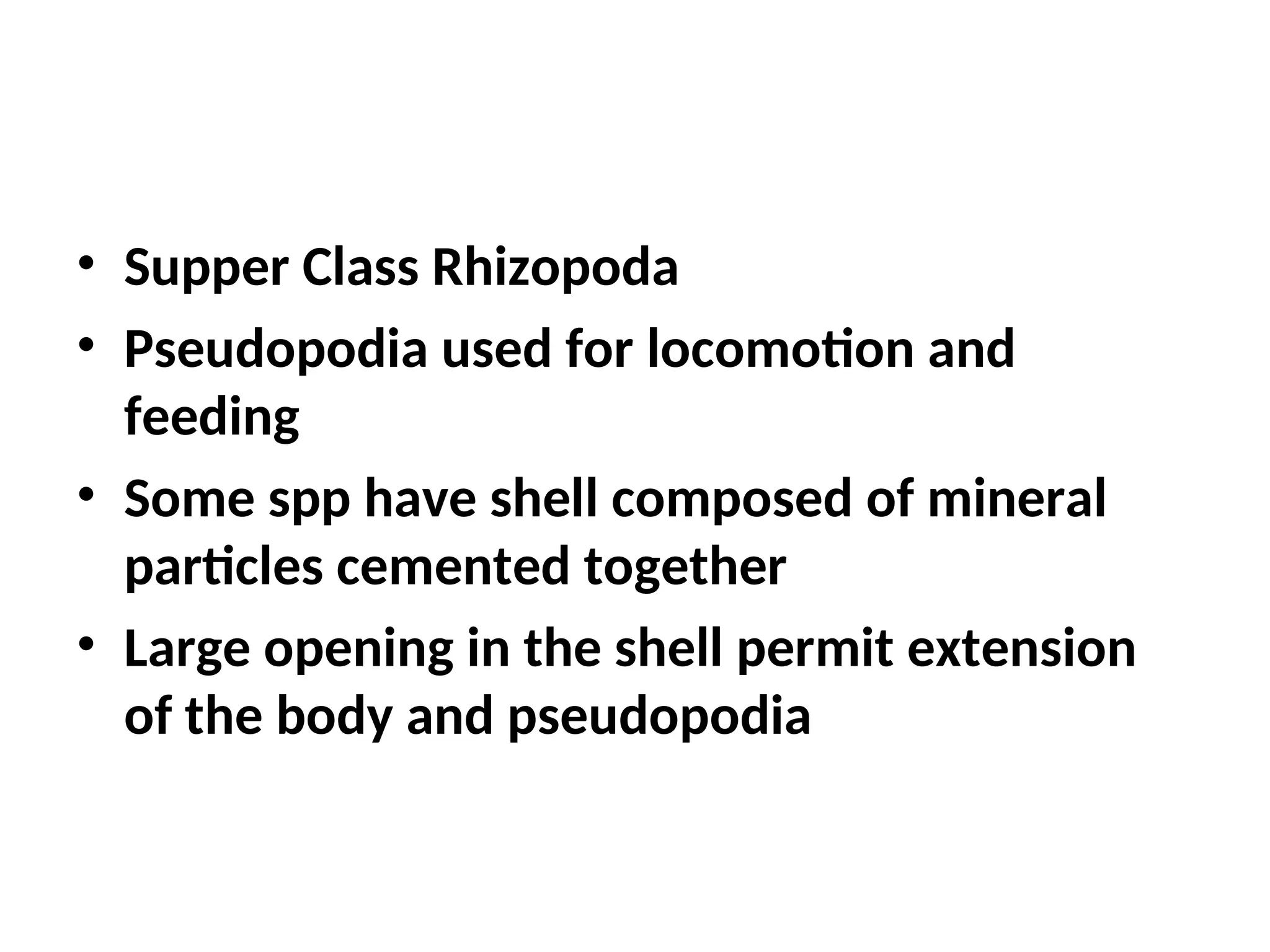 • Supper Class Rhizopoda
• Pseudopodia used for locomotion and
feeding
• Some spp have shell composed of mineral
particles cemented together
• Large opening in the shell permit extension
of the body and pseudopodia
 