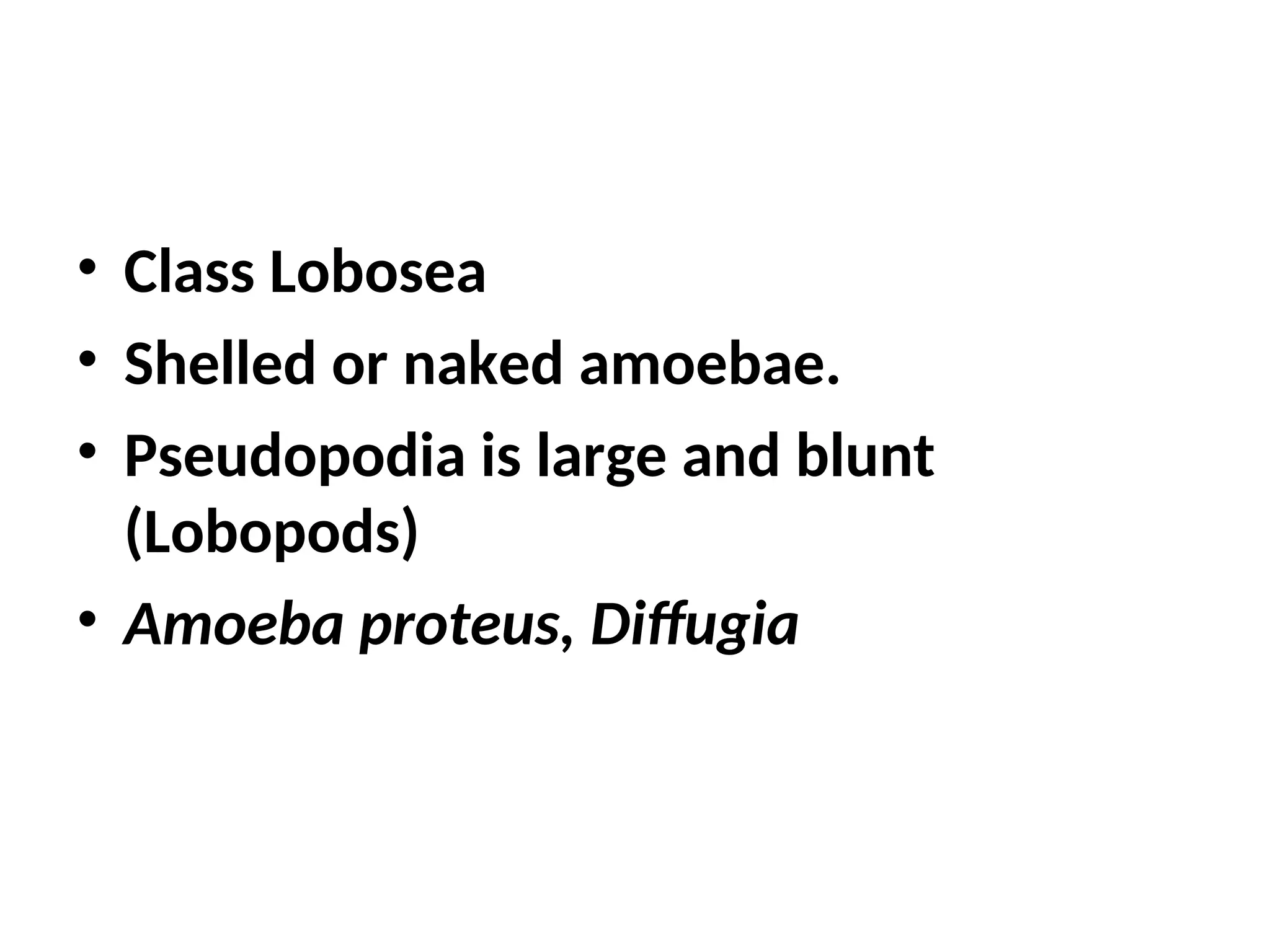 • Class Lobosea
• Shelled or naked amoebae.
• Pseudopodia is large and blunt
(Lobopods)
• Amoeba proteus, Diffugia
 