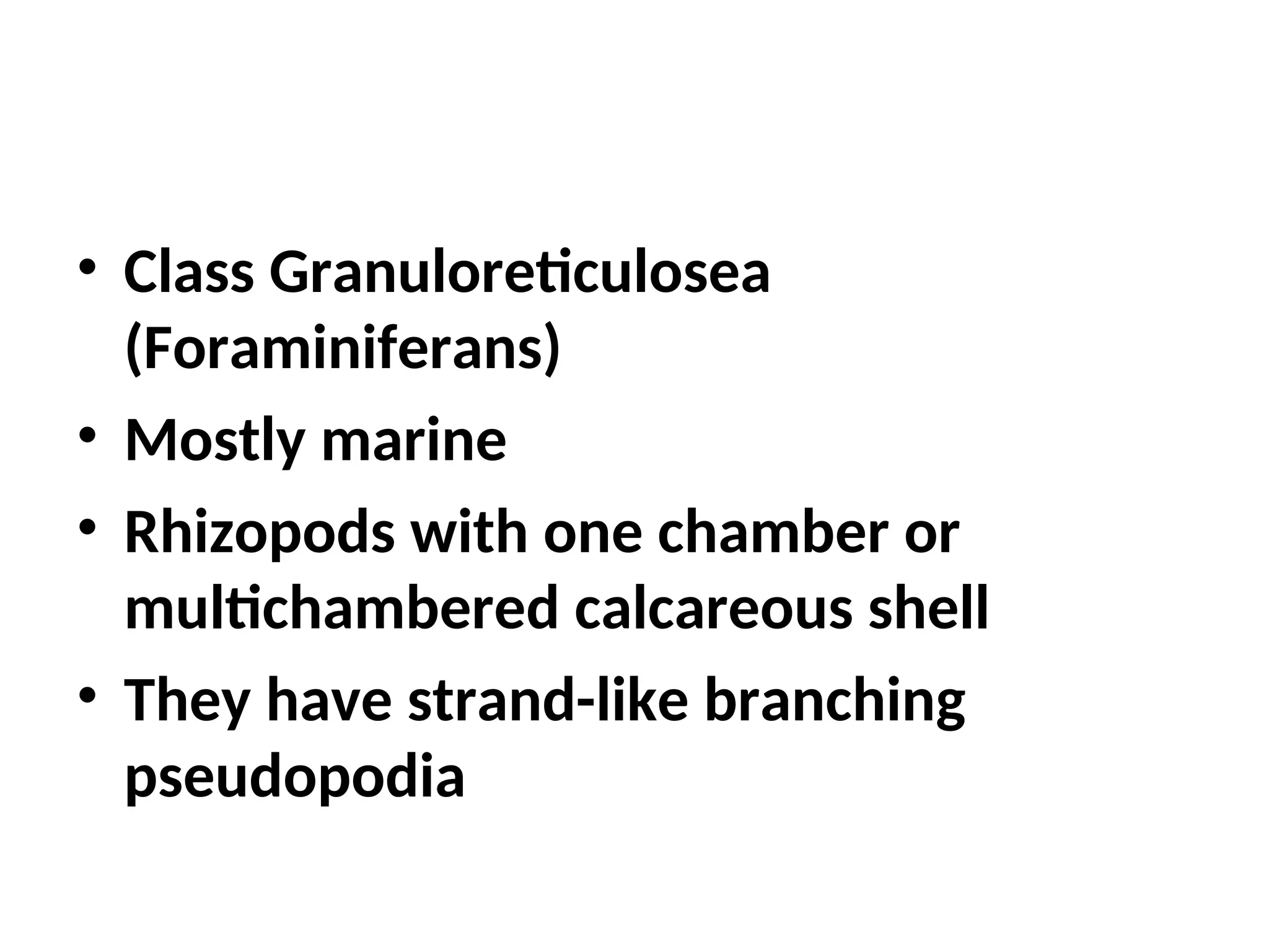 • Class Granuloreticulosea
(Foraminiferans)
• Mostly marine
• Rhizopods with one chamber or
multichambered calcareous shell
• They have strand-like branching
pseudopodia
 