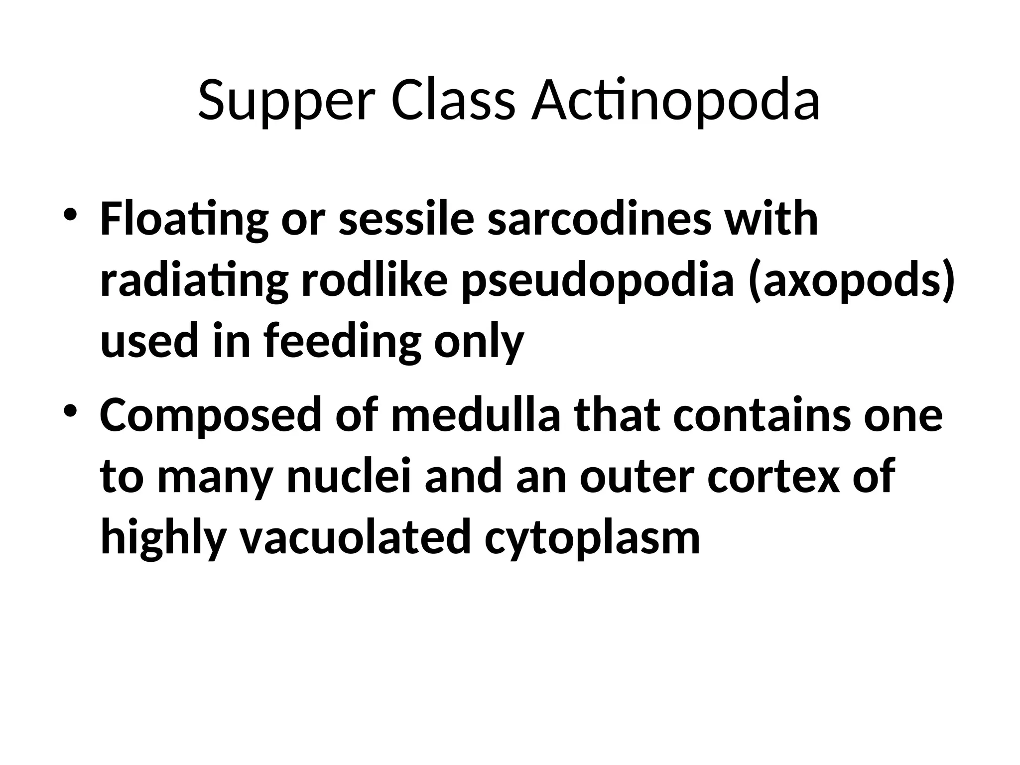 Supper Class Actinopoda
• Floating or sessile sarcodines with
radiating rodlike pseudopodia (axopods)
used in feeding only
• Composed of medulla that contains one
to many nuclei and an outer cortex of
highly vacuolated cytoplasm
 