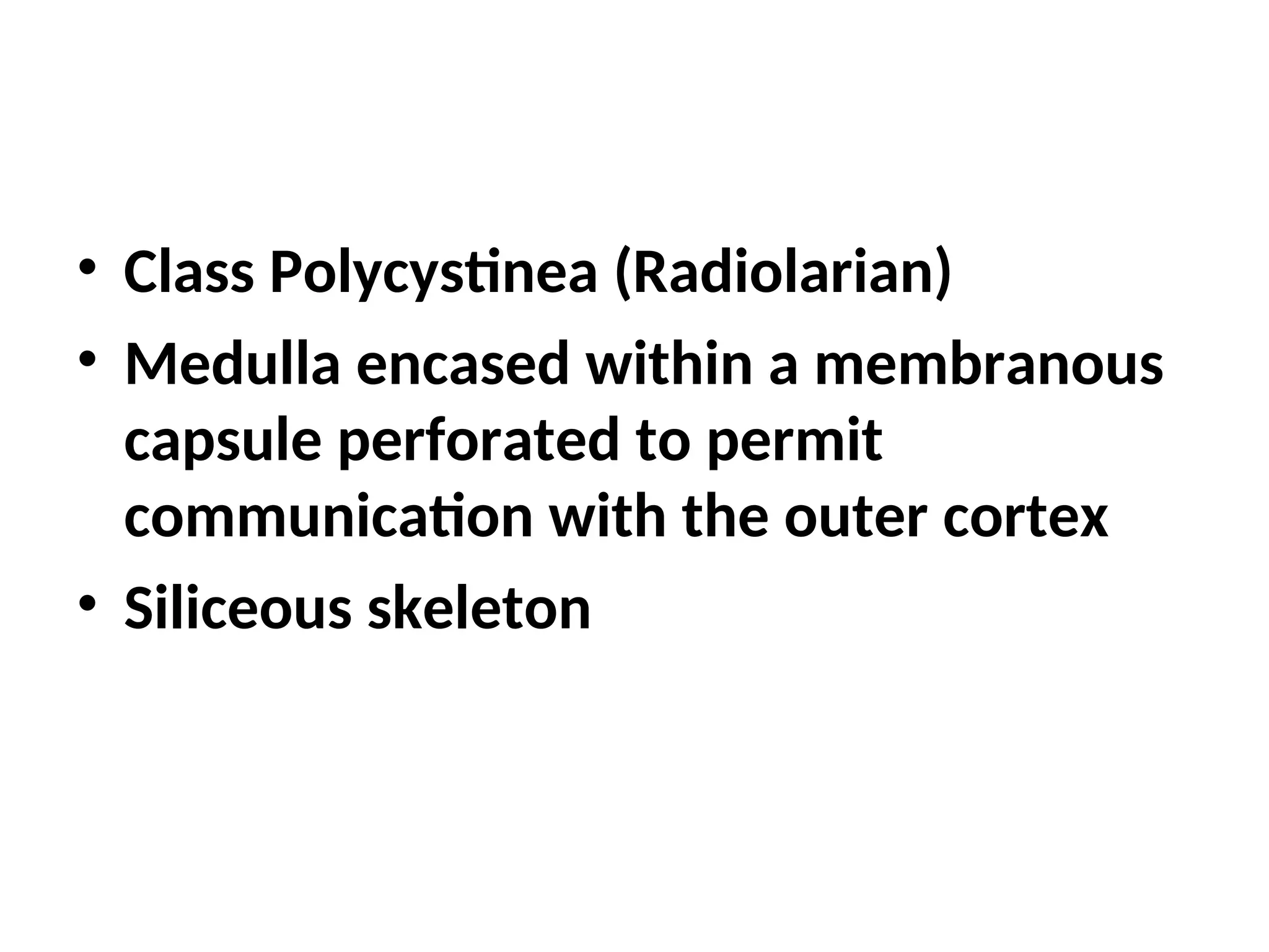 • Class Polycystinea (Radiolarian)
• Medulla encased within a membranous
capsule perforated to permit
communication with the outer cortex
• Siliceous skeleton
 