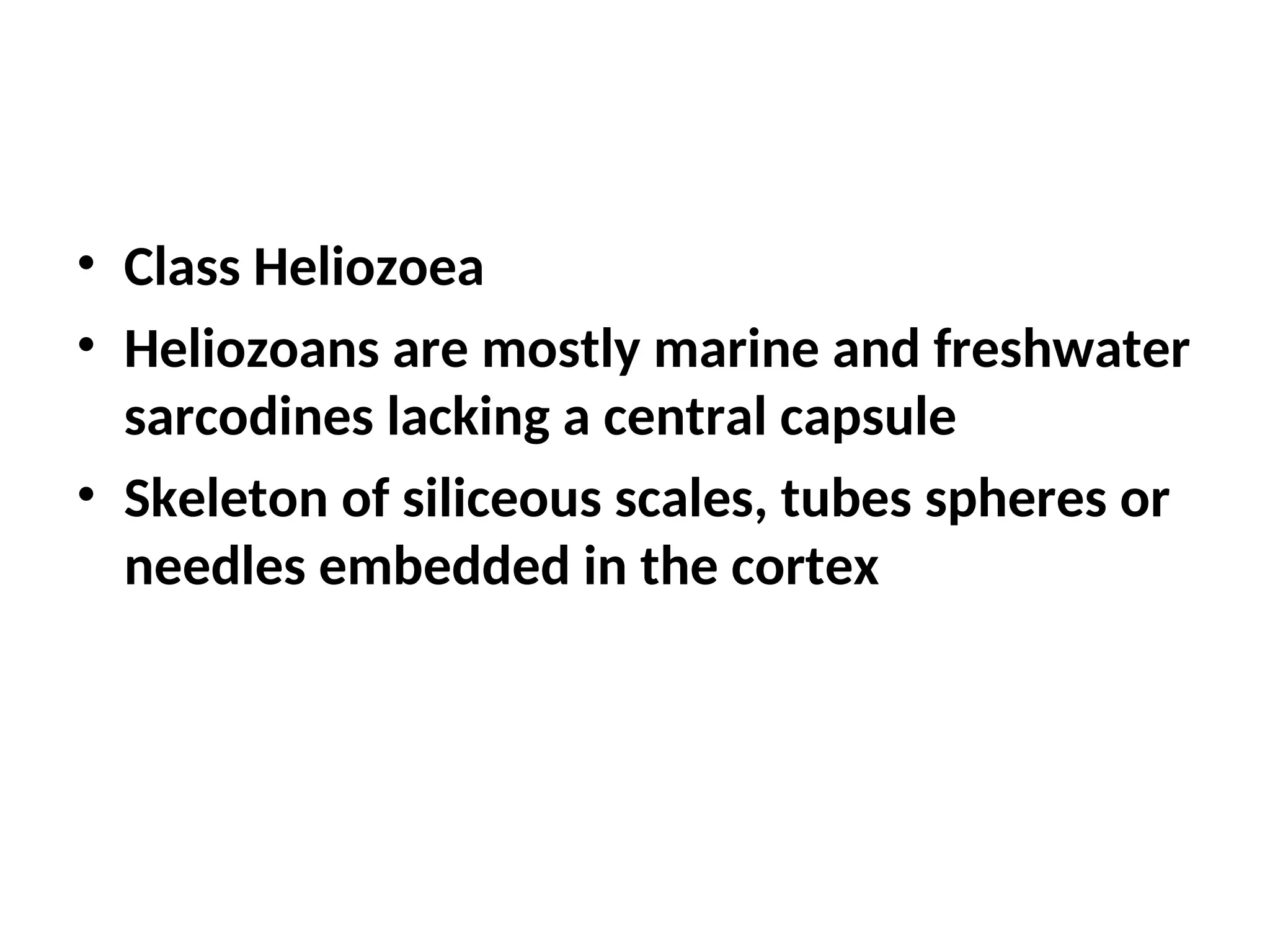 • Class Heliozoea
• Heliozoans are mostly marine and freshwater
sarcodines lacking a central capsule
• Skeleton of siliceous scales, tubes spheres or
needles embedded in the cortex
 