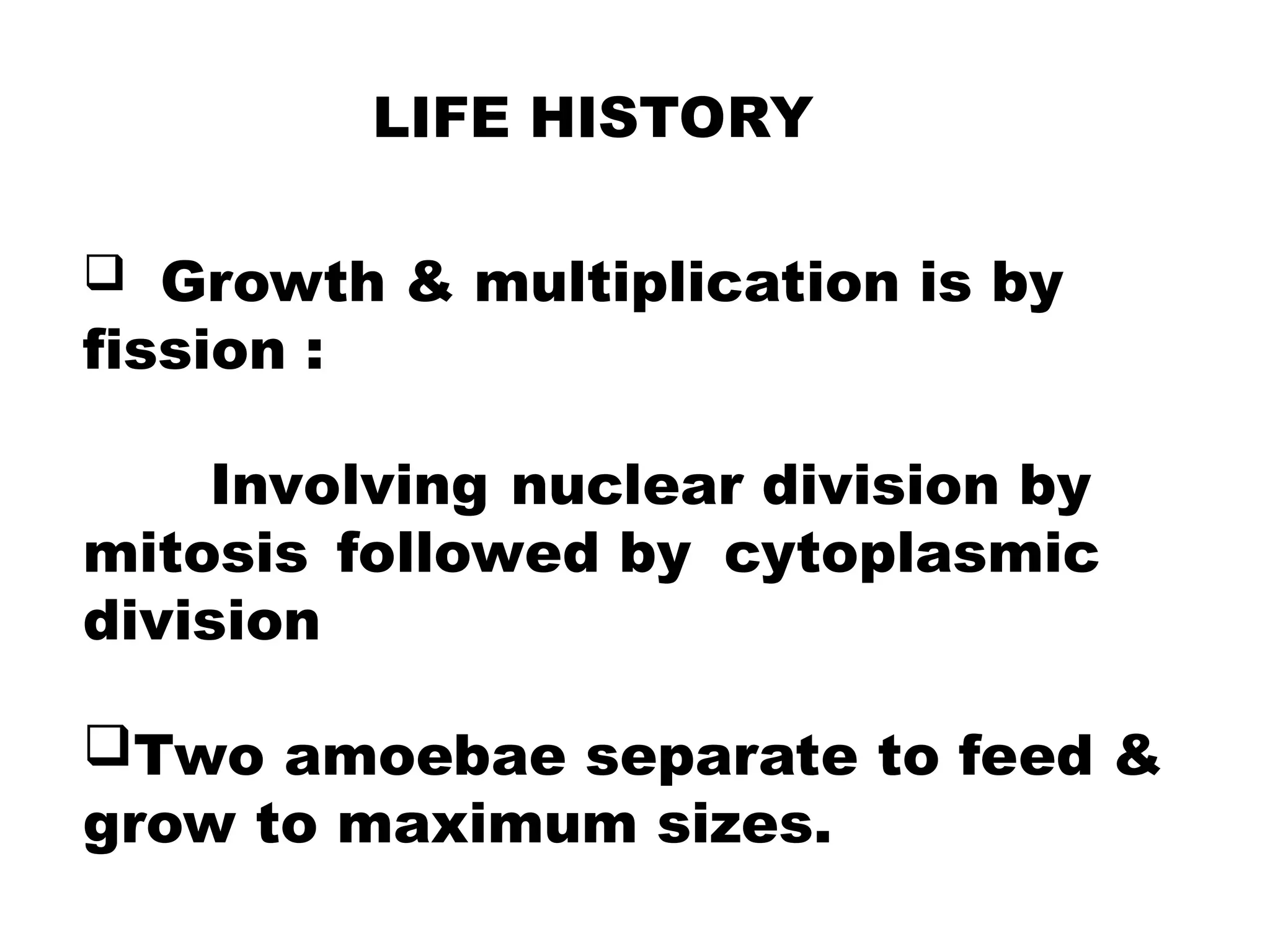 LIFE HISTORY
 Growth & multiplication is by
fission :
Involving nuclear division by
mitosis followed by cytoplasmic
division
Two amoebae separate to feed &
grow to maximum sizes.
 