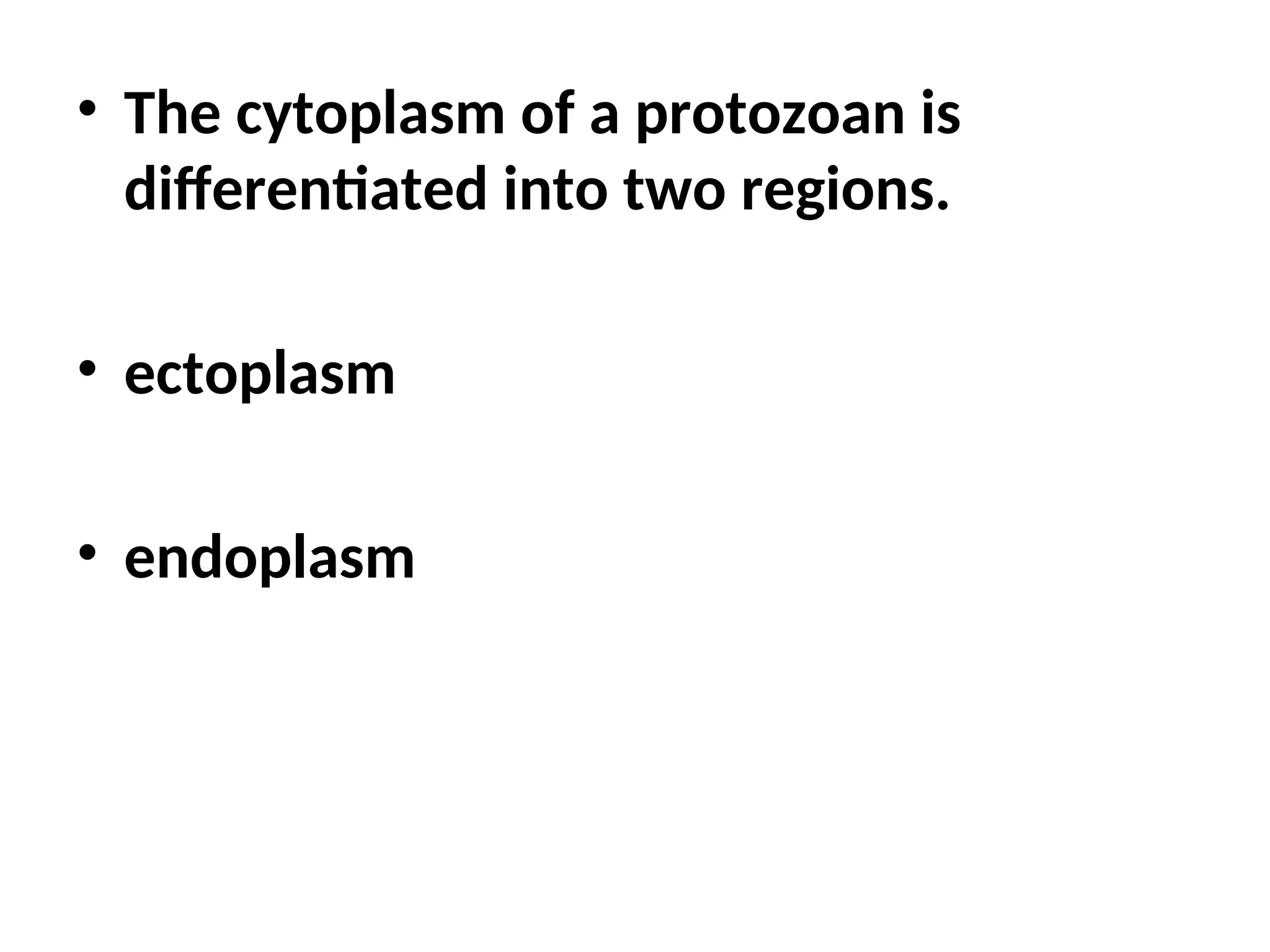 • The cytoplasm of a protozoan is
differentiated into two regions.
• ectoplasm
• endoplasm
 