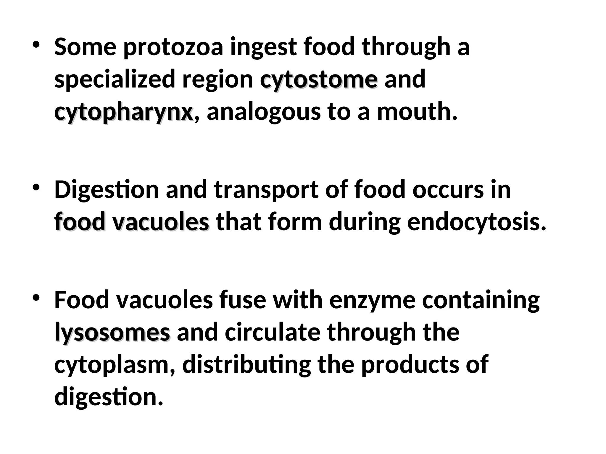 • Some protozoa ingest food through a
specialized region cytostome
cytostome and
cytopharynx
cytopharynx, analogous to a mouth.
• Digestion and transport of food occurs in
food vacuoles
food vacuoles that form during endocytosis.
• Food vacuoles fuse with enzyme containing
lysosomes
lysosomes and circulate through the
cytoplasm, distributing the products of
digestion.
 