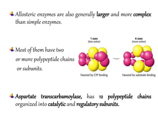 Allosteric Inhibition | PDF