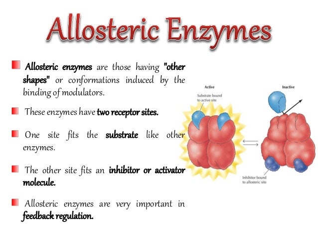 allosteric inhibition