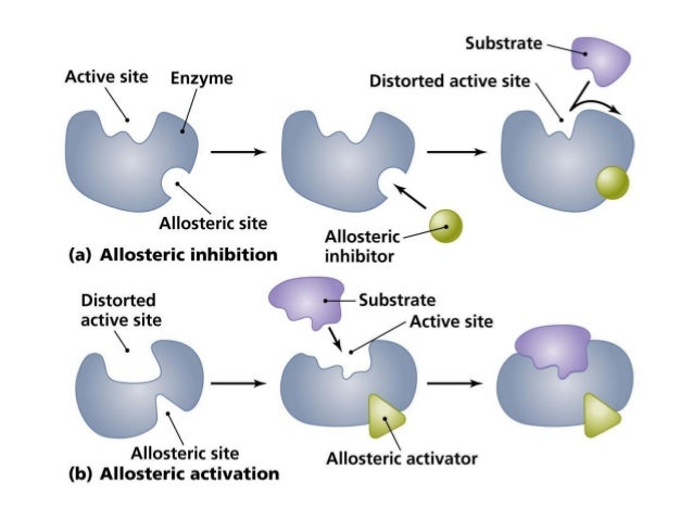 allosteric inhibition