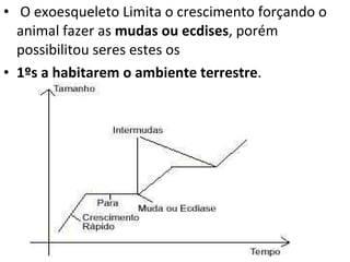 O exoesqueleto Limita o crescimento forçando o animal fazer as  mudas ou ecdises , porém possibilitou seres estes os 1ºs a habitarem o ambiente terrestre . 