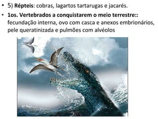 5 )  Répteis : cobras, lagartos tartarugas e jacarés. 1os. Vertebrados a conquistarem o meio terrestre::  fecundação interna, ovo com casca e anexos embrionários, pele queratinizada e pulmões com alvéolos 