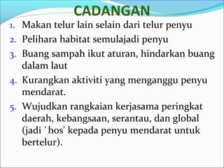 CADANGAN 
1. Makan telur lain selain dari telur penyu 
2. Pelihara habitat semulajadi penyu 
3. Buang sampah ikut aturan, hindarkan buang 
dalam laut 
4. Kurangkan aktiviti yang menganggu penyu 
mendarat. 
5. Wujudkan rangkaian kerjasama peringkat 
daerah, kebangsaan, serantau, dan global 
(jadi `hos' kepada penyu mendarat untuk 
bertelur). 
 