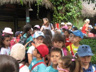 Zoo2012