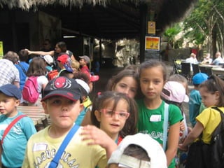 Zoo2012