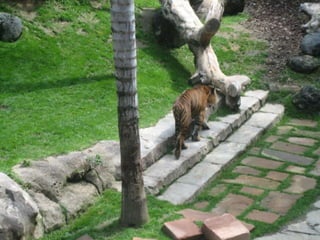 Zoo2012