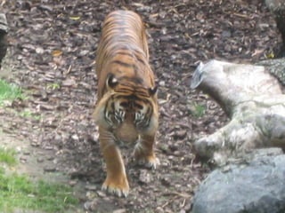 Zoo2012