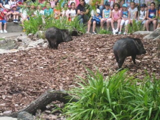 Zoo2012