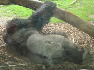 Zoo2012