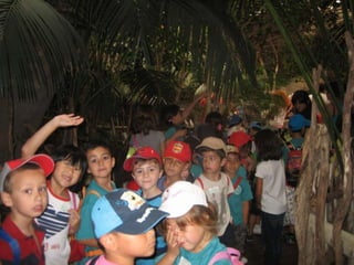 Zoo2012