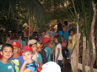 Zoo2012