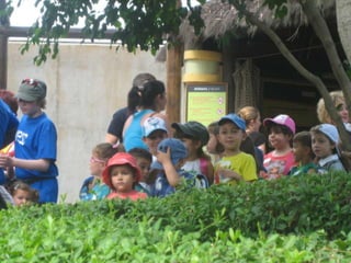 Zoo2012