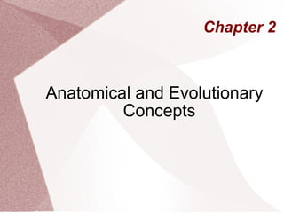 Chapter 2 Anatomical and Evolutionary Concepts 