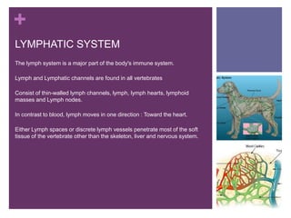 +
LYMPHATIC SYSTEM
The lymph system is a major part of the body's immune system.
Lymph and Lymphatic channels are found in all vertebrates
Consist of thin-walled lymph channels, lymph, lymph hearts, lymphoid
masses and Lymph nodes.
In contrast to blood, lymph moves in one direction : Toward the heart.
Either Lymph spaces or discrete lymph vessels penetrate most of the soft
tissue of the vertebrate other than the skeleton, liver and nervous system.
 