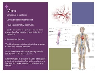 +Veins
-- Commence in capillaries
-- Carries blood towards the heart
-- Have proportionately less muscle
-- Elastic tissue and more fibrous tissues than
arteries therefore capable of less distention /
construction
-- Smallest are Venules
-The blood pressure in the veins is low so valves
in veins help prevent backflow.
-act as blood reservoirs because they contain
50% to 60% of the blood volume.
-Smooth muscle in the walls of veins can expand
or contract to adjust the flow volume returning to
the heart and make more blood available when
needed
 
