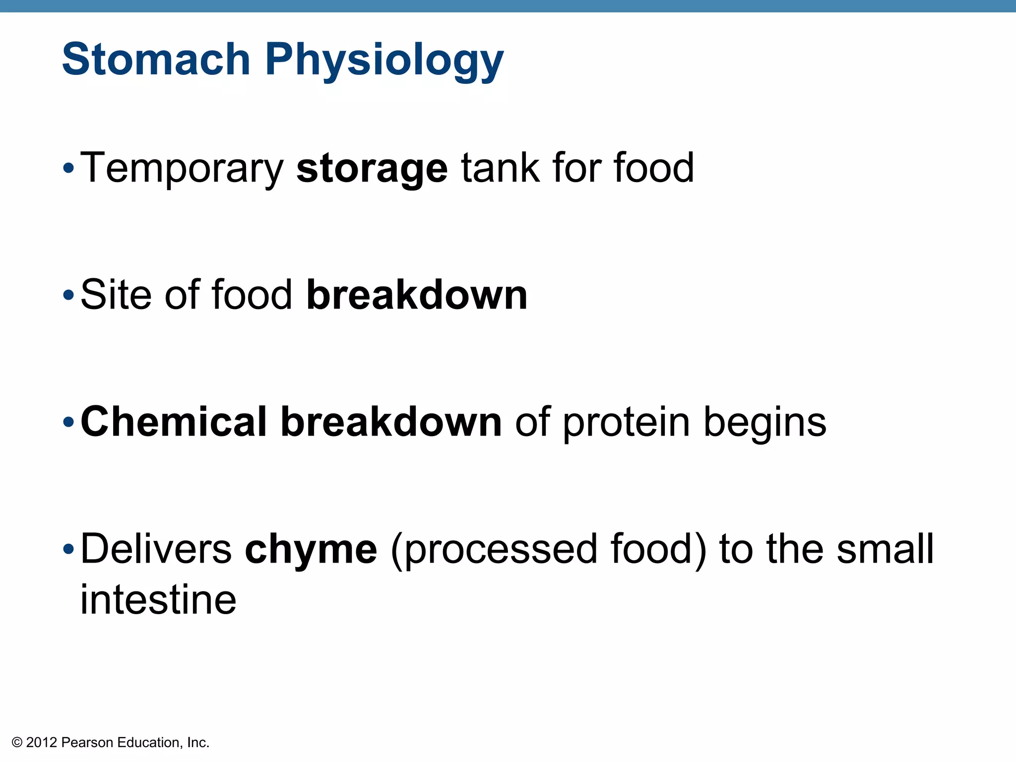 © 2012 Pearson Education, Inc.
Stomach Physiology
•Temporary storage tank for food
•Site of food breakdown
•Chemical breakdown of protein begins
•Delivers chyme (processed food) to the small
intestine
 