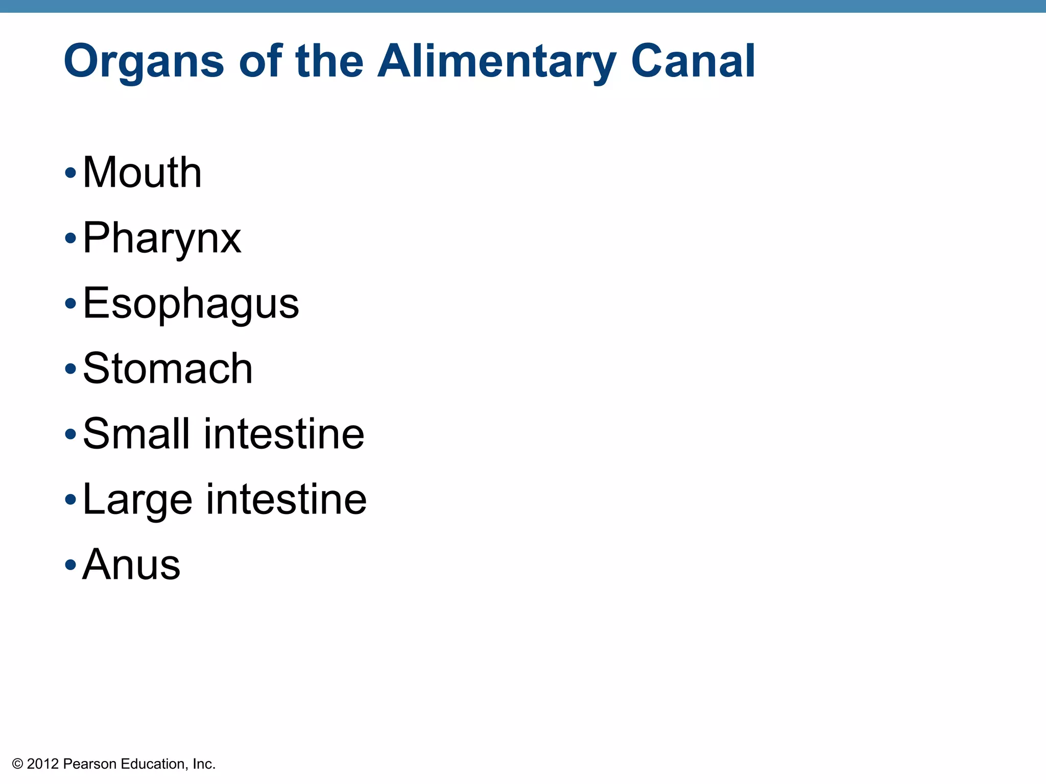 © 2012 Pearson Education, Inc.
Organs of the Alimentary Canal
•Mouth
•Pharynx
•Esophagus
•Stomach
•Small intestine
•Large intestine
•Anus
 