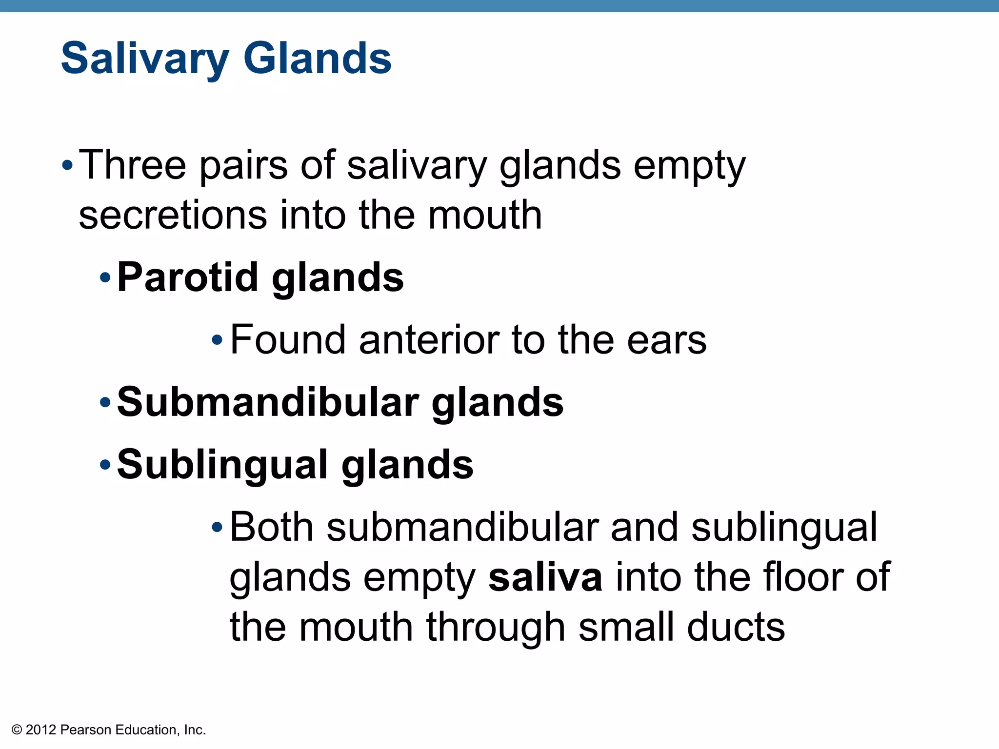 © 2012 Pearson Education, Inc.
Salivary Glands
•Three pairs of salivary glands empty
secretions into the mouth
•Parotid glands
•Found anterior to the ears
•Submandibular glands
•Sublingual glands
•Both submandibular and sublingual
glands empty saliva into the floor of
the mouth through small ducts
 