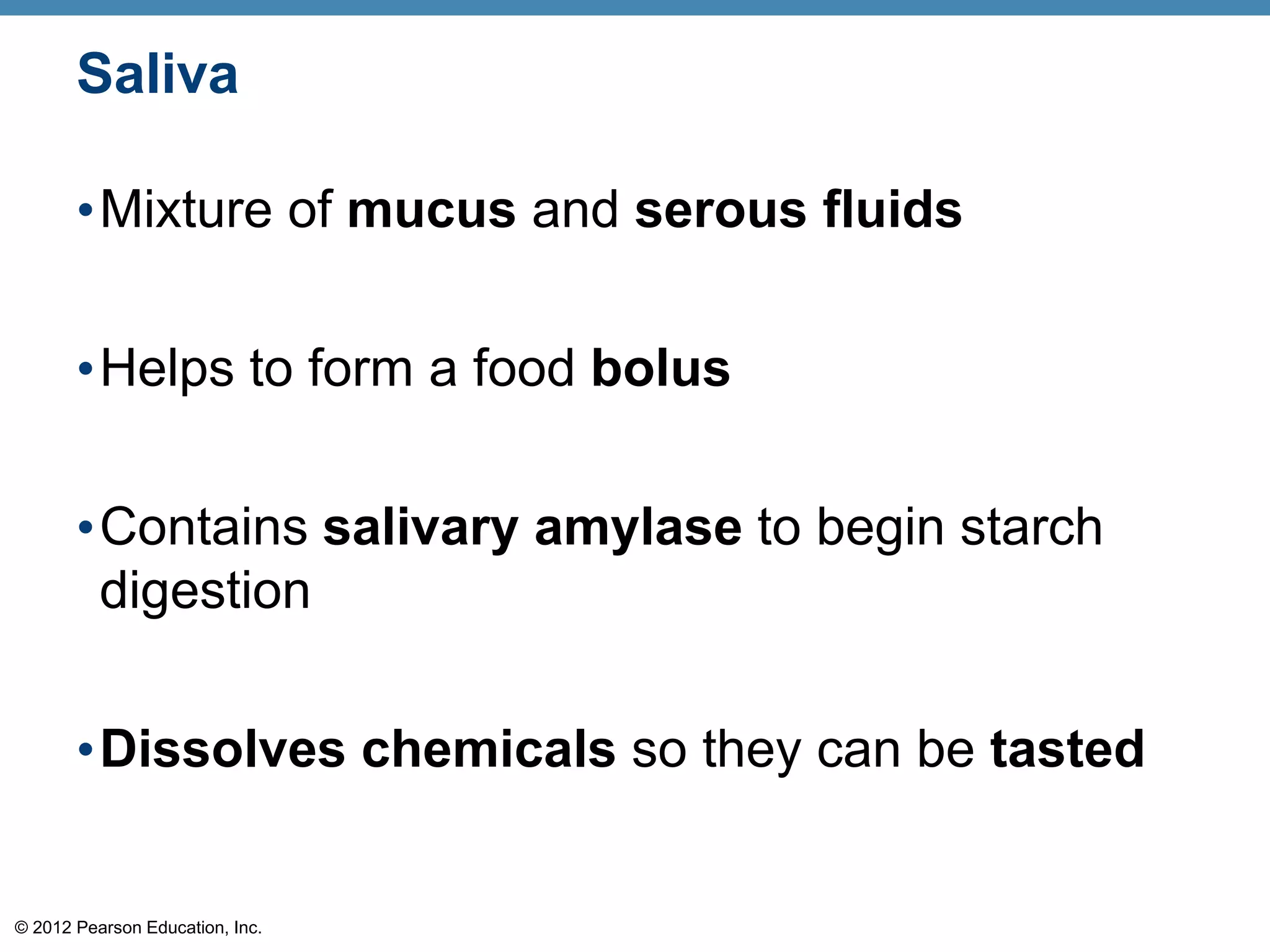 © 2012 Pearson Education, Inc.
Saliva
•Mixture of mucus and serous fluids
•Helps to form a food bolus
•Contains salivary amylase to begin starch
digestion
•Dissolves chemicals so they can be tasted
 