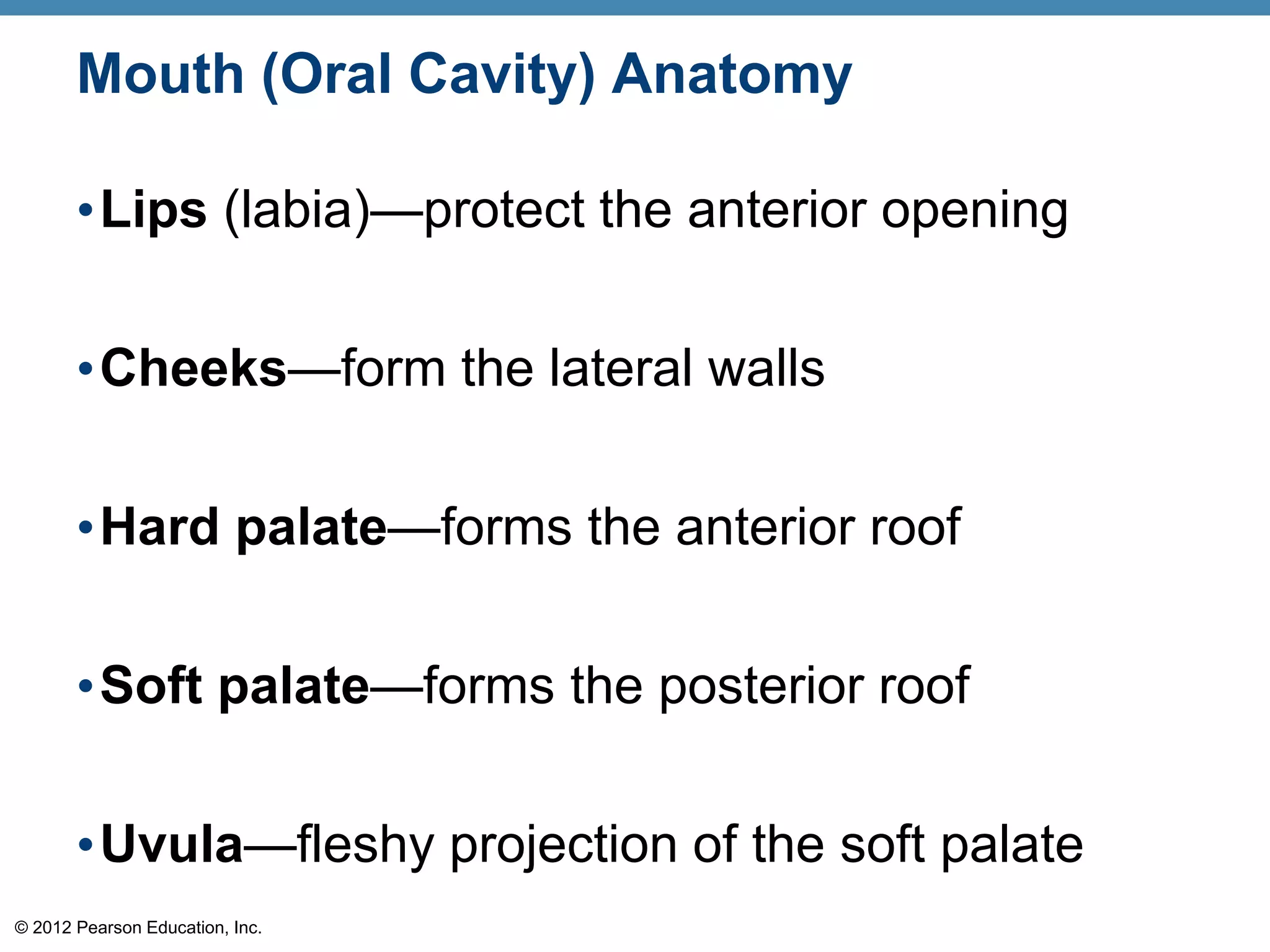© 2012 Pearson Education, Inc.
Mouth (Oral Cavity) Anatomy
•Lips (labia)—protect the anterior opening
•Cheeks—form the lateral walls
•Hard palate—forms the anterior roof
•Soft palate—forms the posterior roof
•Uvula—fleshy projection of the soft palate
 