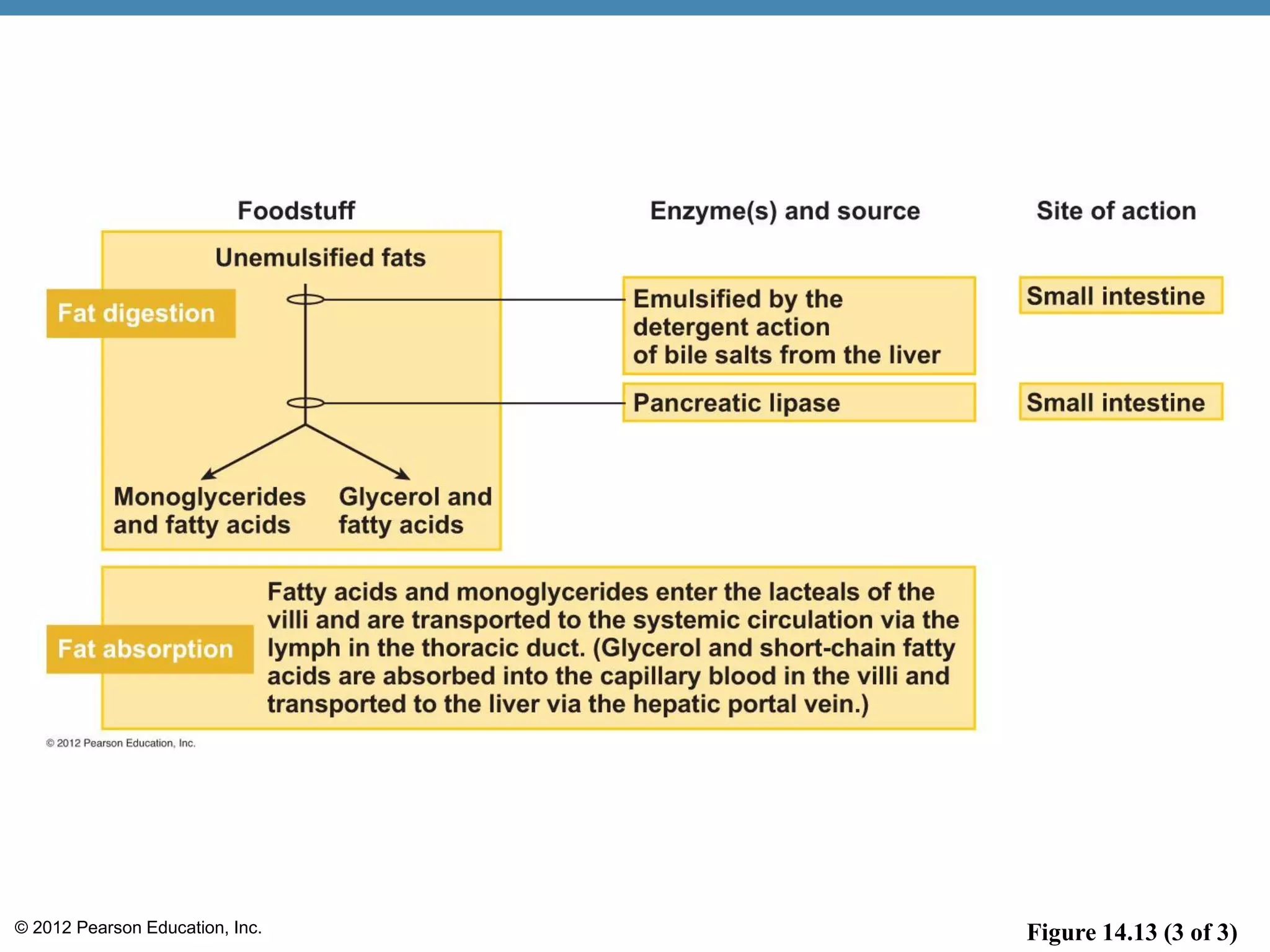 © 2012 Pearson Education, Inc. Figure 14.13 (3 of 3)
 