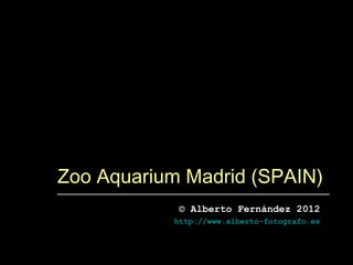 Zoo Aquarium Madrid (SPAIN)
            © Alberto Fernández 2012
           http://www.alberto-fotografo.es
 