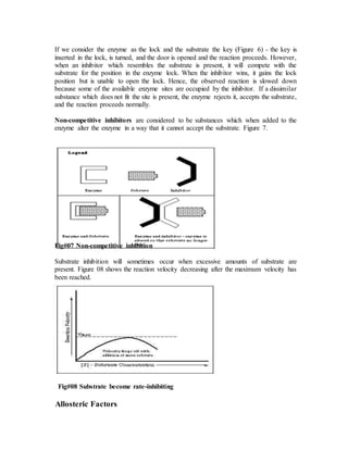 If we consider the enzyme as the lock and the substrate the key (Figure 6) - the key is
inserted in the lock, is turned, and the door is opened and the reaction proceeds. However,
when an inhibitor which resembles the substrate is present, it will compete with the
substrate for the position in the enzyme lock. When the inhibitor wins, it gains the lock
position but is unable to open the lock. Hence, the observed reaction is slowed down
because some of the available enzyme sites are occupied by the inhibitor. If a dissimilar
substance which does not fit the site is present, the enzyme rejects it, accepts the substrate,
and the reaction proceeds normally.
Non-competitive inhibitors are considered to be substances which when added to the
enzyme alter the enzyme in a way that it cannot accept the substrate. Figure 7.
Fig#07 Non-competitive inhibition
Substrate inhibition will sometimes occur when excessive amounts of substrate are
present. Figure 08 shows the reaction velocity decreasing after the maximum velocity has
been reached.
Fig#08 Substrate become rate-inhibiting
Allosteric Factors
 